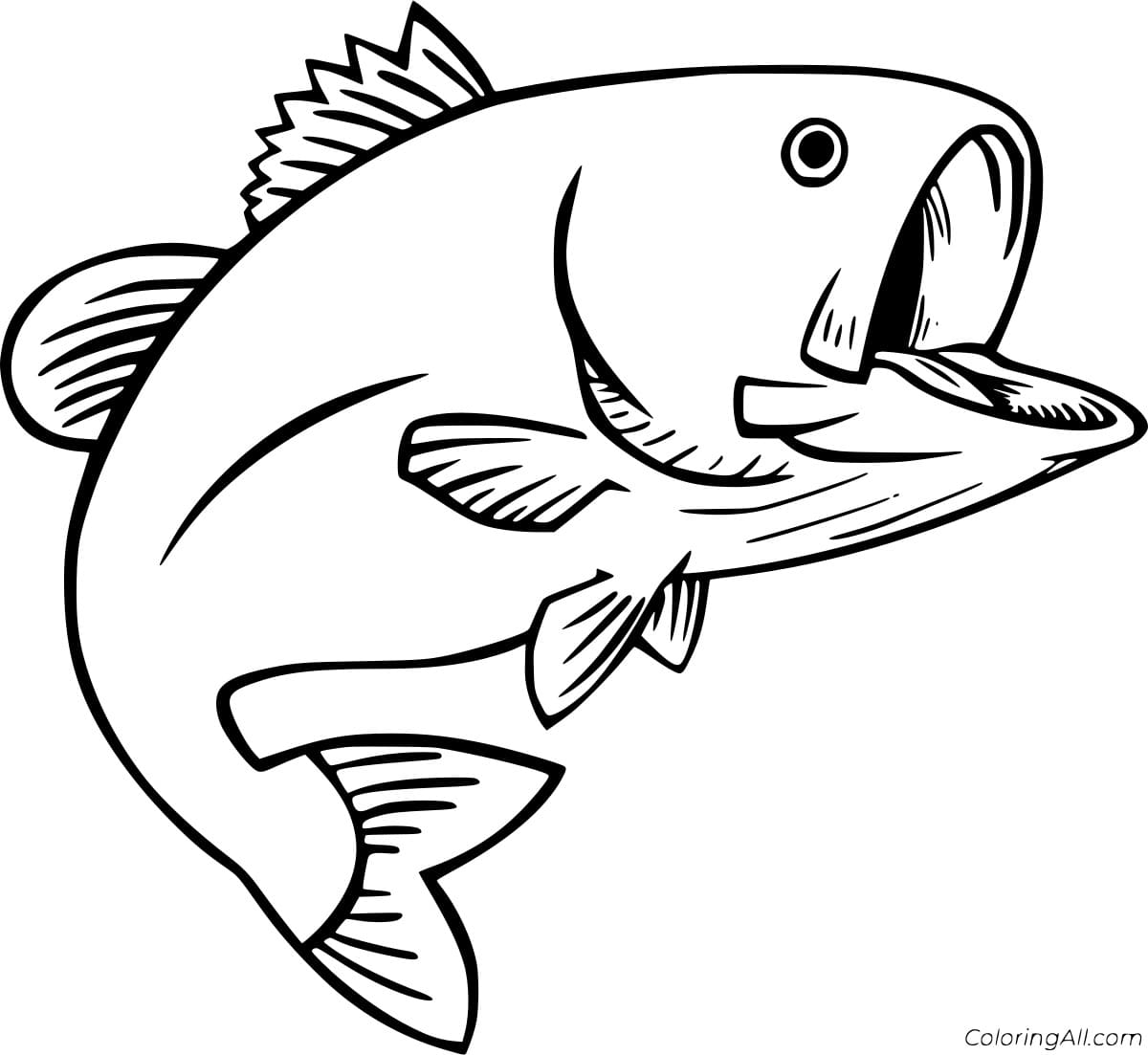 Yellow Bass Image Coloring Page