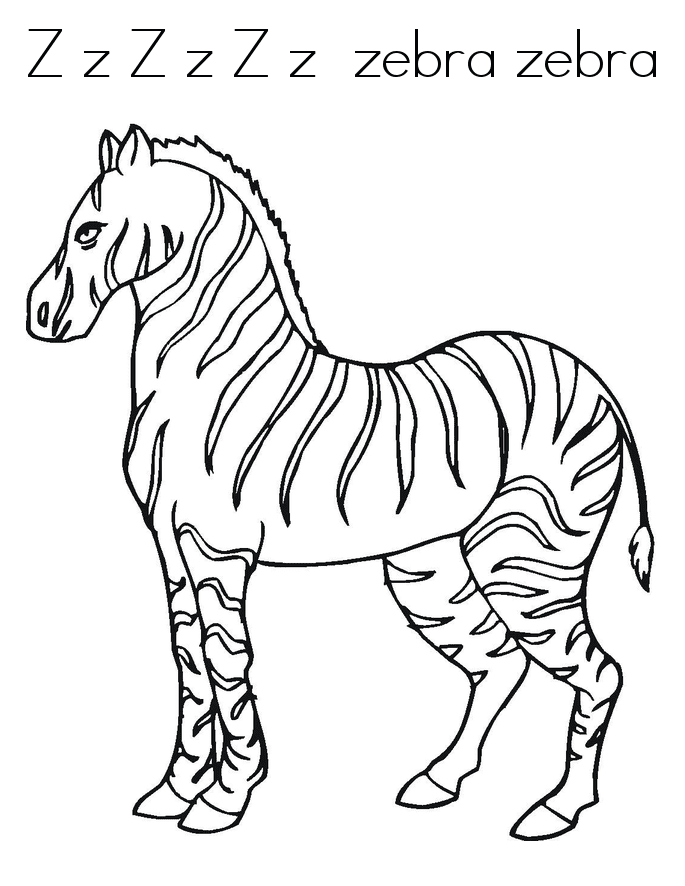 Zebra Coloring Pictures