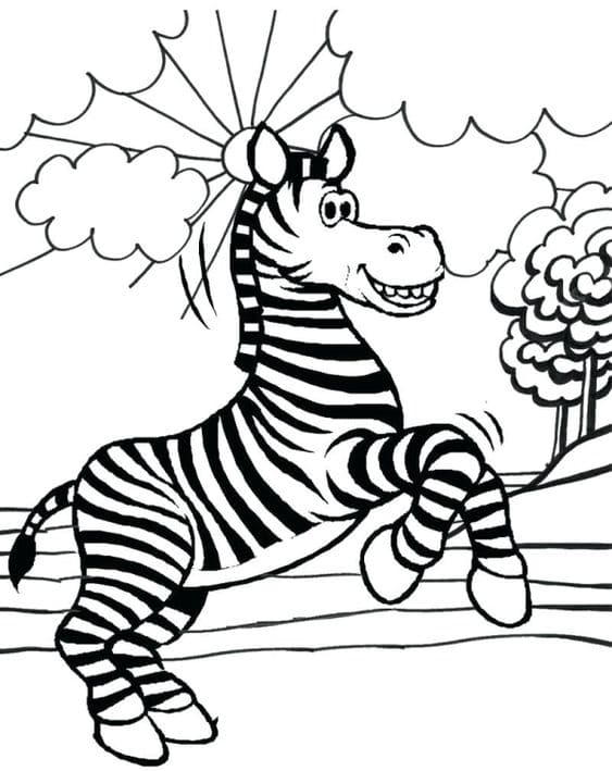 Zebra Free Picture For Kids