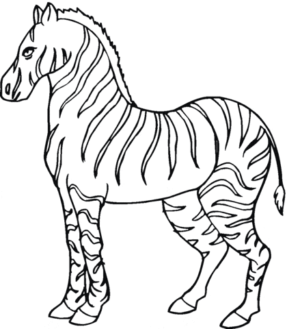 Zebra Free Picture Coloring Page