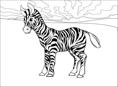 Zebra Free Printable
