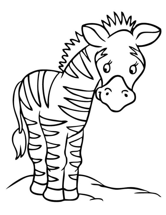 Zebra Sheets Coloring Page
