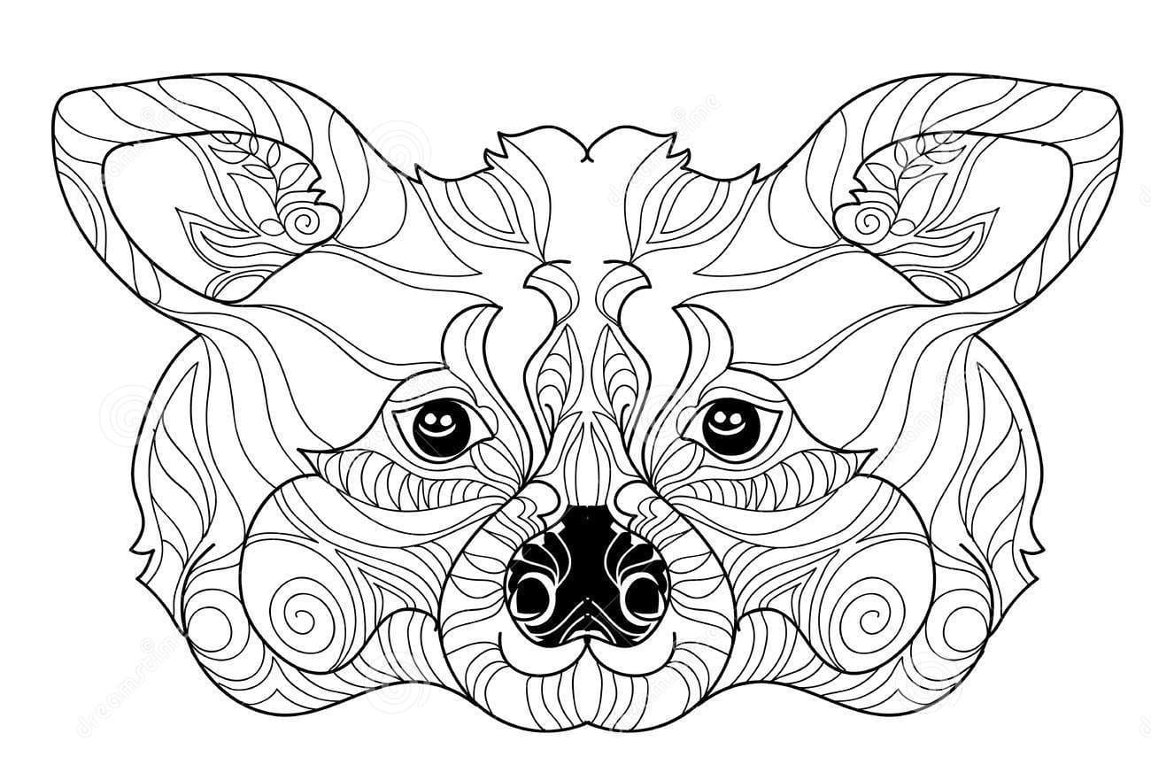 Zentangle Raccoon Head Doodle Hand Drawn