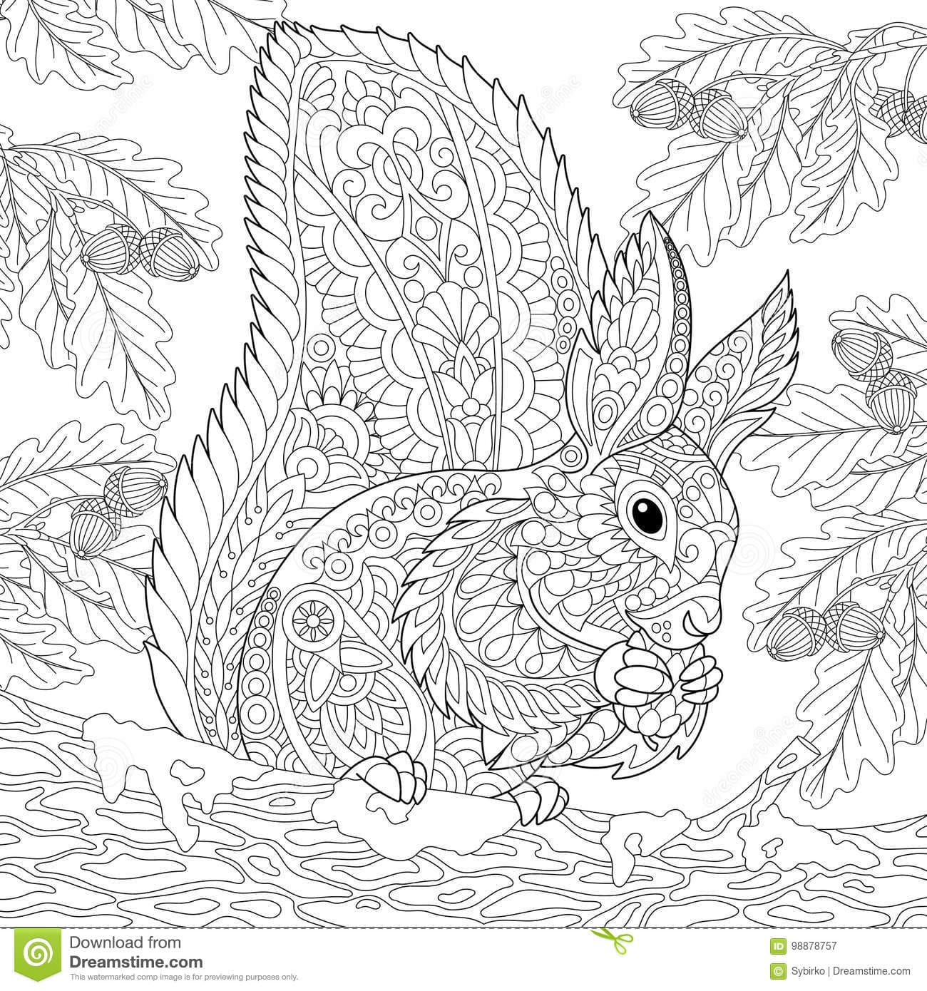 Zentangle Stylized Squirrel Coloring Page