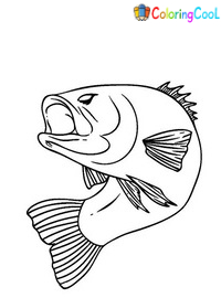 Bass Coloring Pages