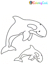Orca Coloring Pages