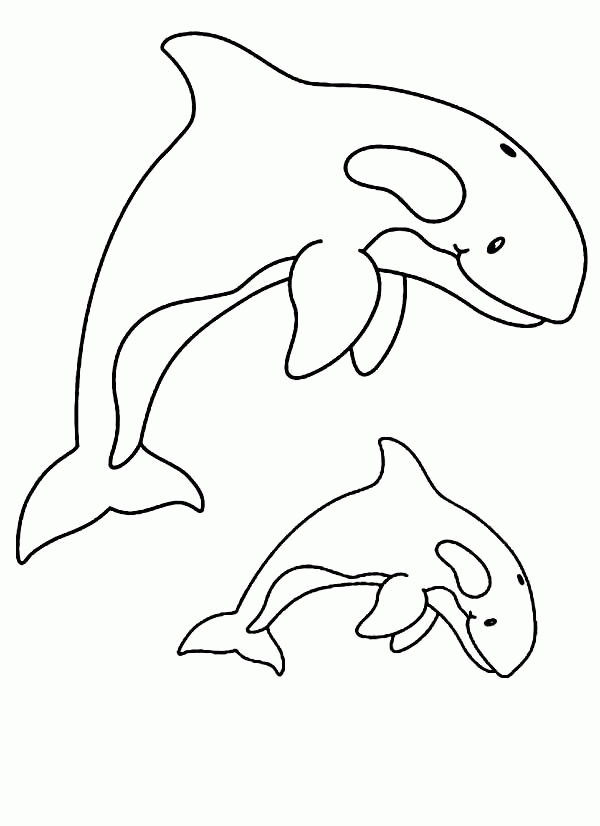Orca Whale coloring page Coloring Page