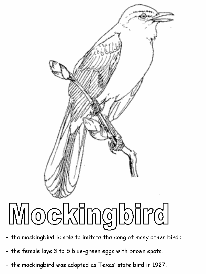 Nice Mockingbird Coloring Page