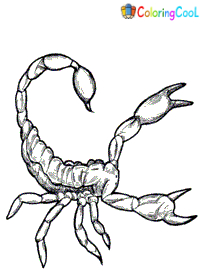 Scorpion Coloring Pages