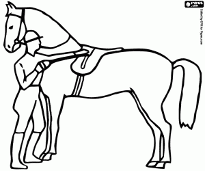 A Horseman Beside The Dressage Horse Coloring Page