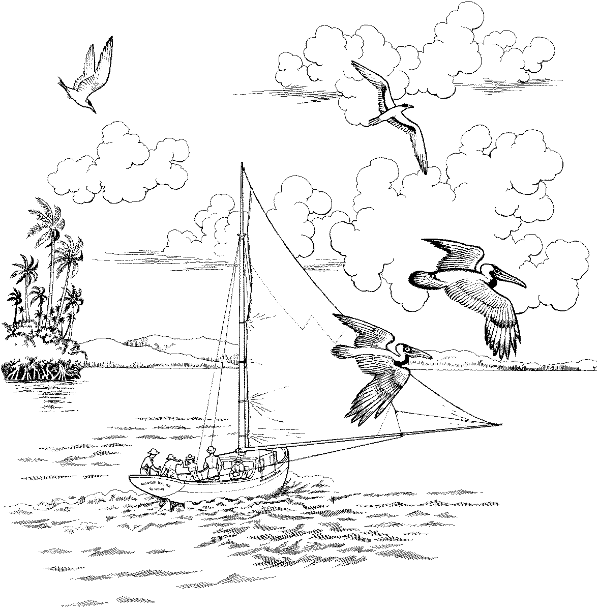 Adult Sailboat Picture Coloring Page