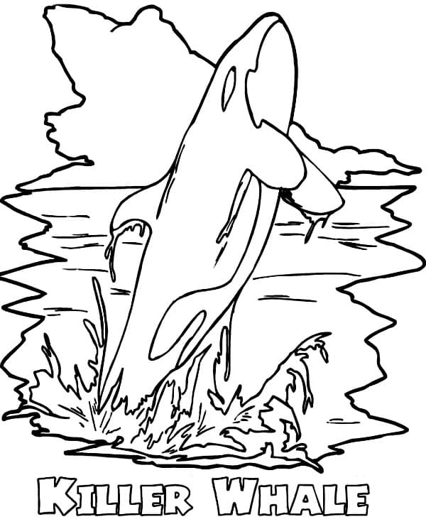 Amazing Killer Whale or Orca Coloring Page