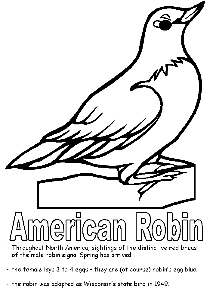 American Robin Image Coloring Page