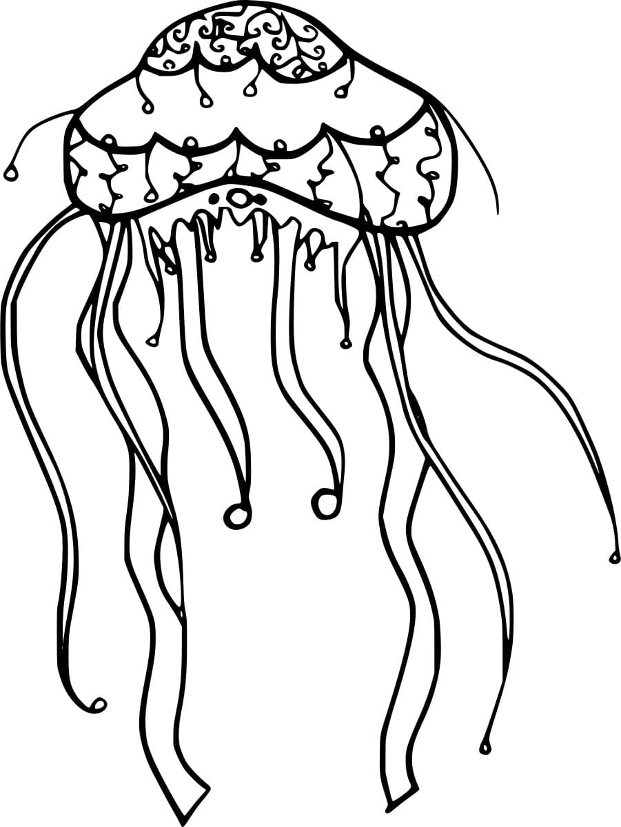 Australian Spotted Jellyfish Coloring Page
