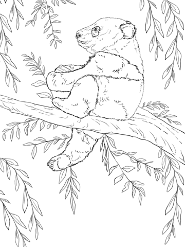 Baby Panda Sits On Tree Coloring Page