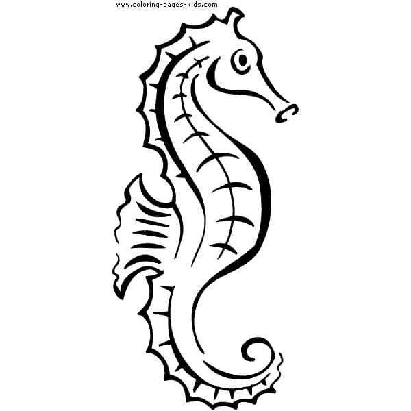 Baby Seahorse Drawing Coloring Page
