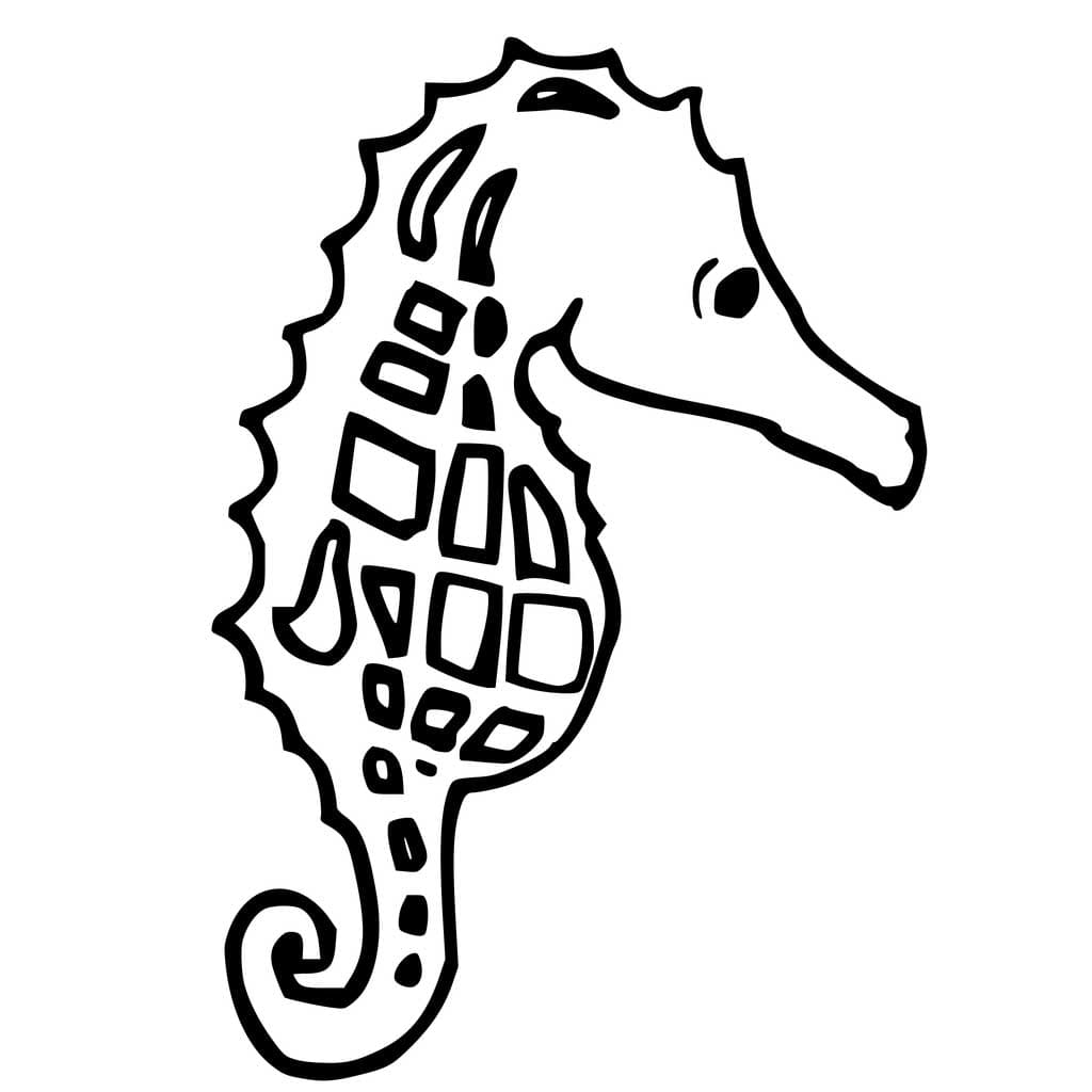Baby Seahorse Image Coloring Page