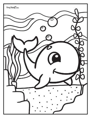 Baby Whale Image Coloring Page