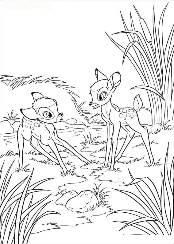 Badgers In The Flowers Coloring Page