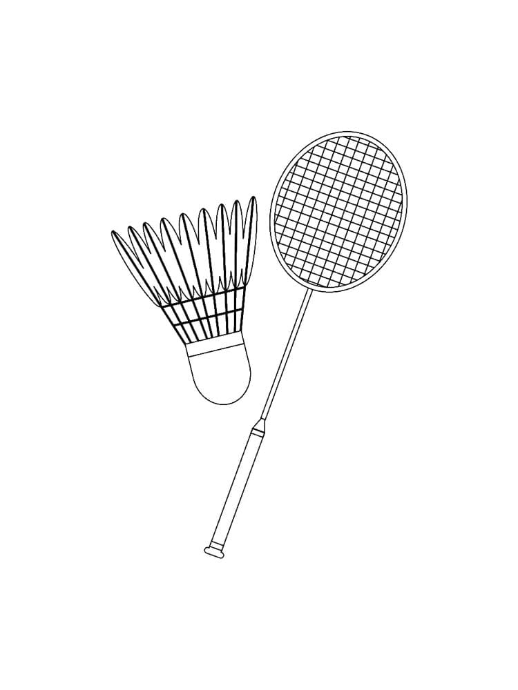 Badminton Racket And Birdie