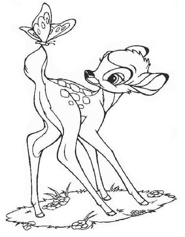 Bambi And Butterfly Image