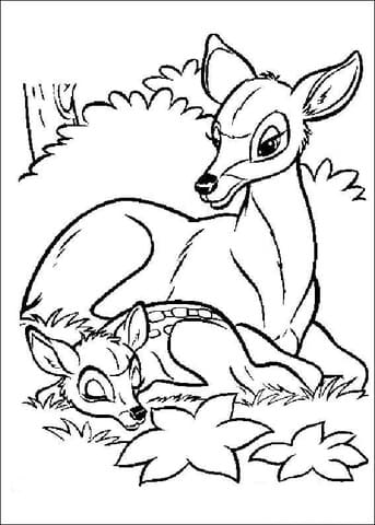 Bambi And Its Mom Coloring Page