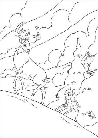 Bambi Follows Roe Image Coloring Page
