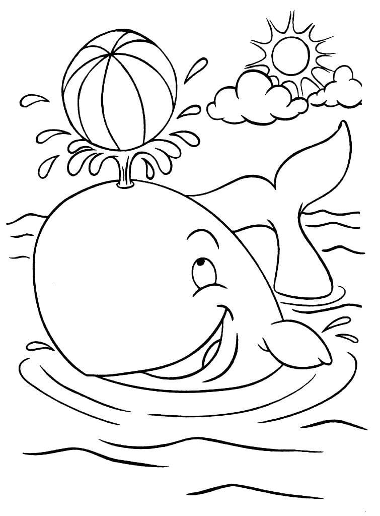 Beach Ball Drawing Picture Coloring Page