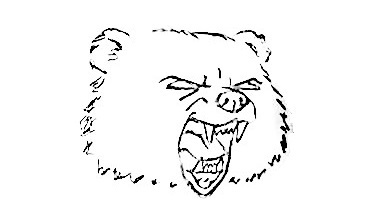 Bear-Drawing-1