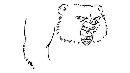 Bear-Drawing-2