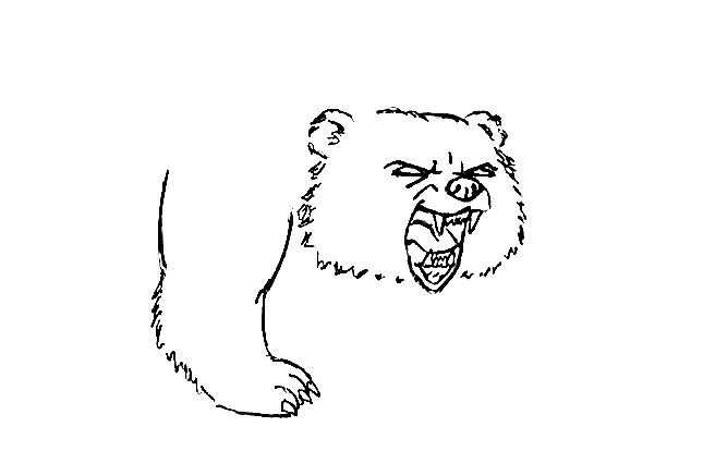 Bear-Drawing-3