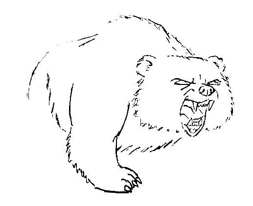 Bear-Drawing-4