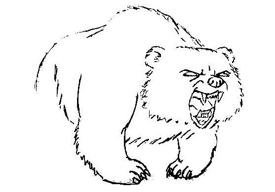 Bear-Drawing-5