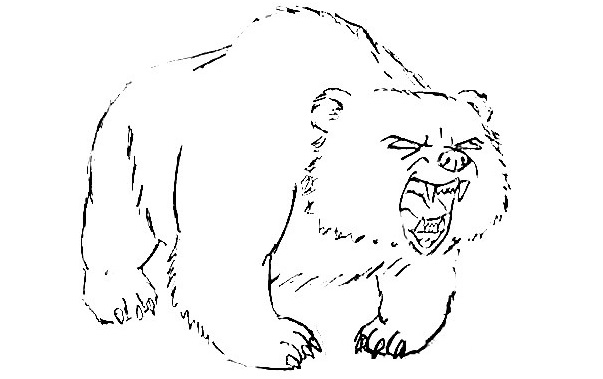 Bear-Drawing-6