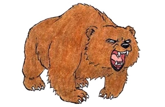 Bear-Drawing-8