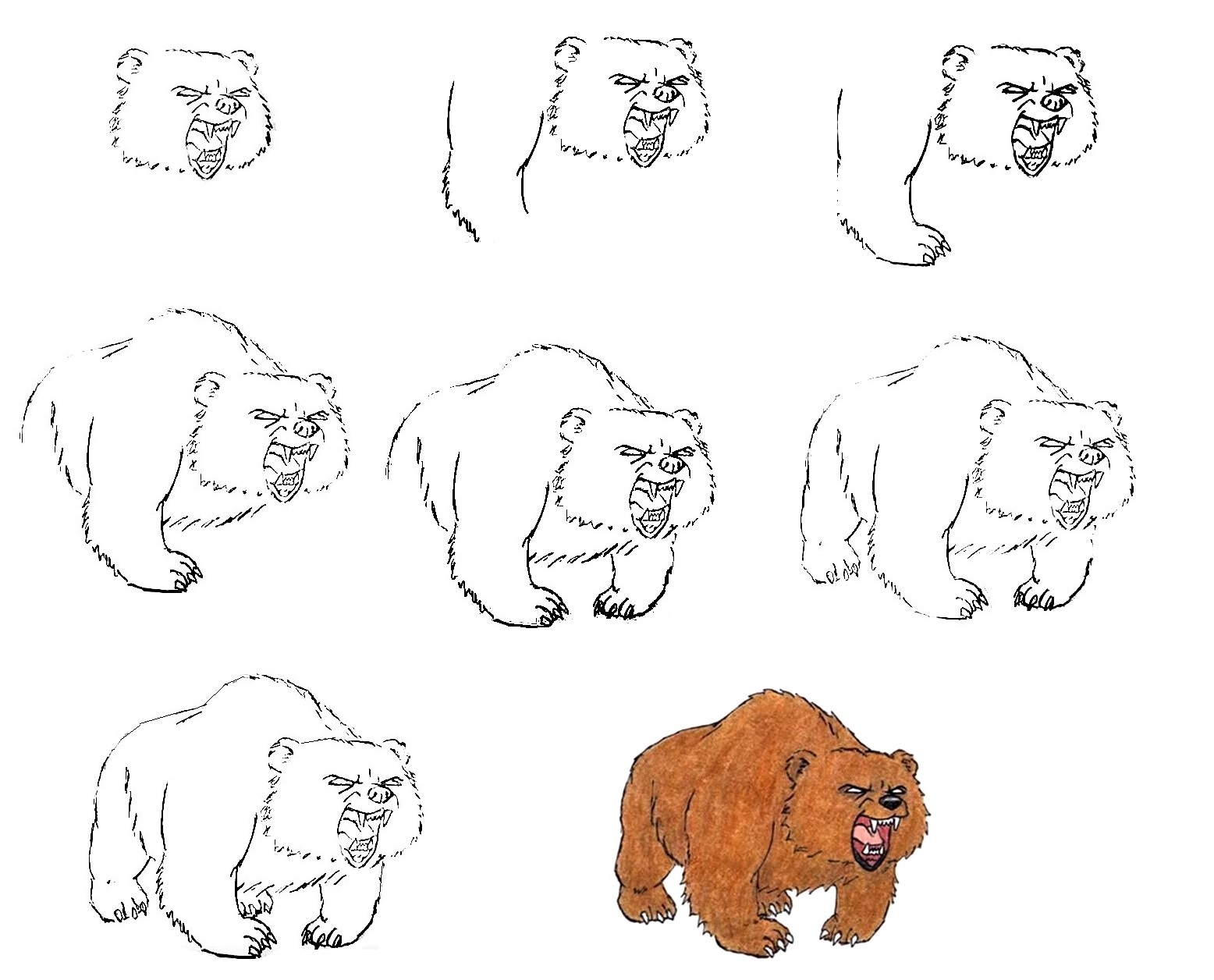 Bear-Drawing