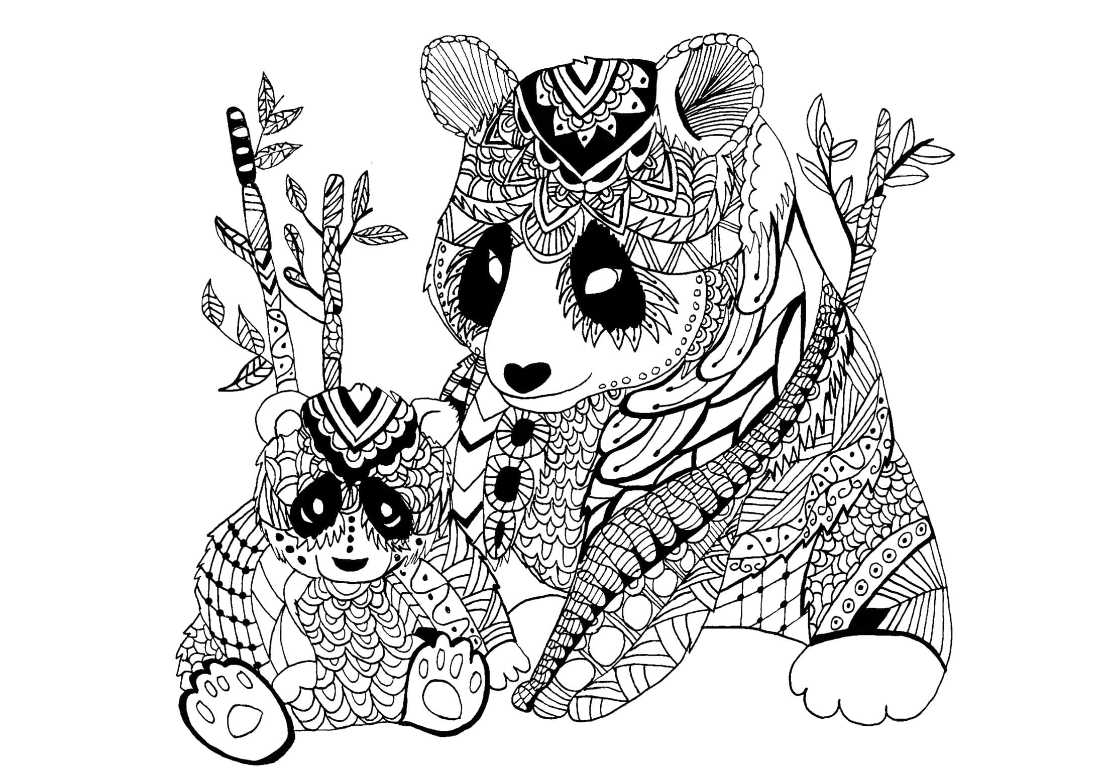 Beautiful Pandas Image Coloring Page