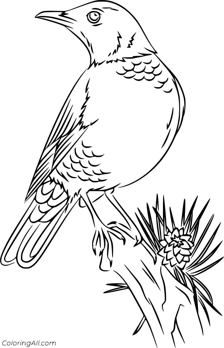 Beautiful Robin On The Tree Coloring Page