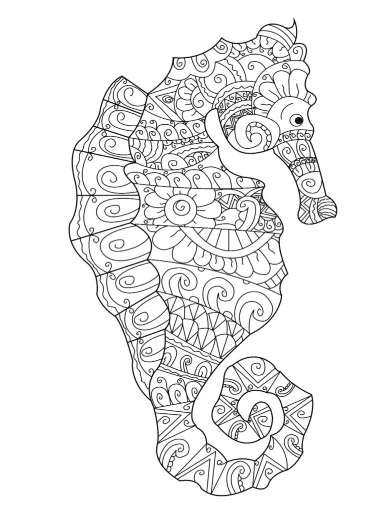 Beautiful Seahorse Image Coloring Page