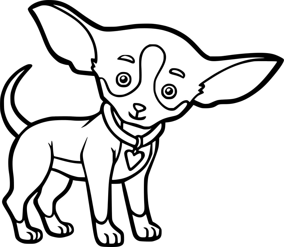 Big Ears Chihuahua Coloring Pages - Coloring Cool