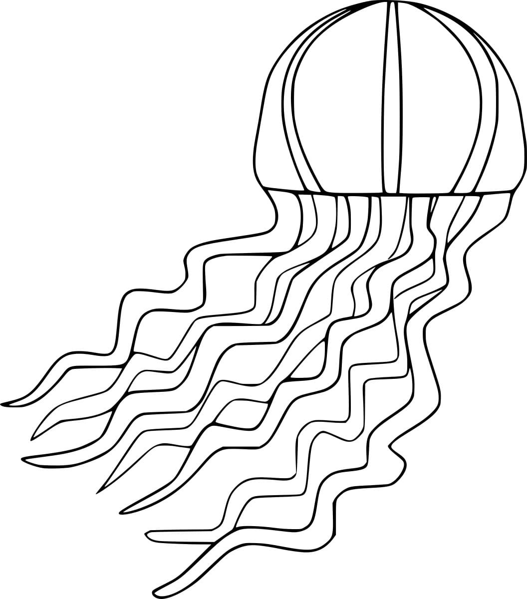 Big Jellyfish Image Coloring Page