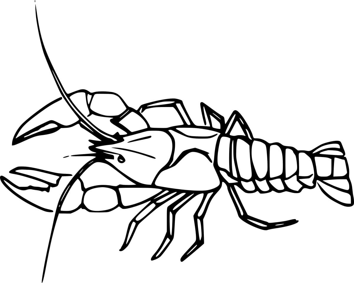 Big Lobster Coloring Page