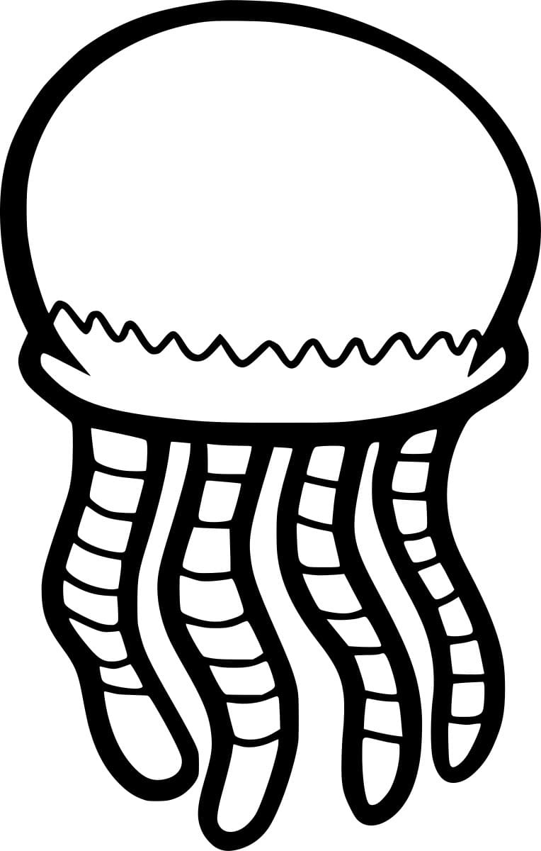 Blank Jellyfish Image For Kids Coloring Page