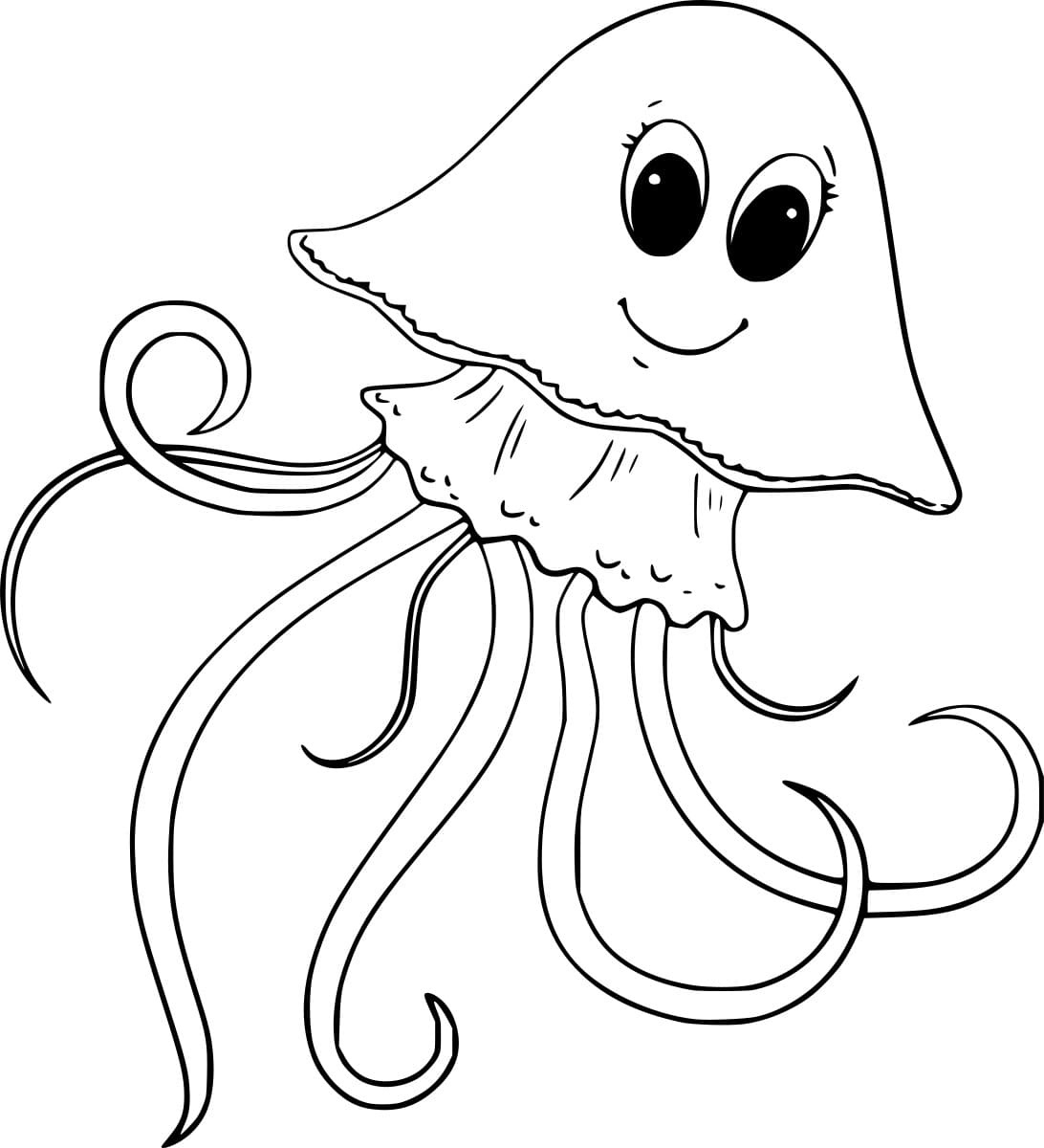 Blue Blubber Jellyfish Image Coloring Page