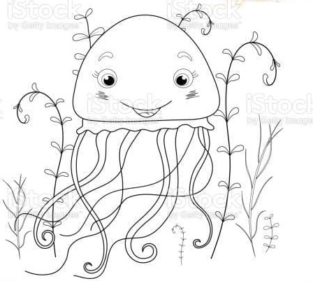 Box Jellyfish Cool Coloring Page