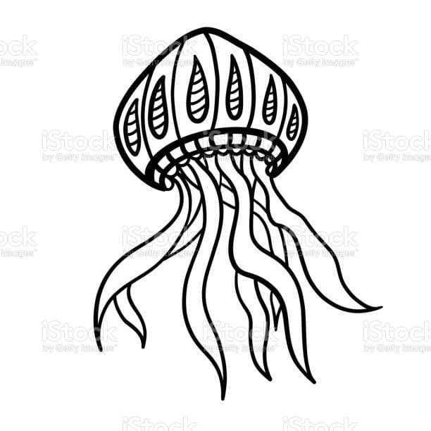 Box Jellyfish For Children Image Coloring Page
