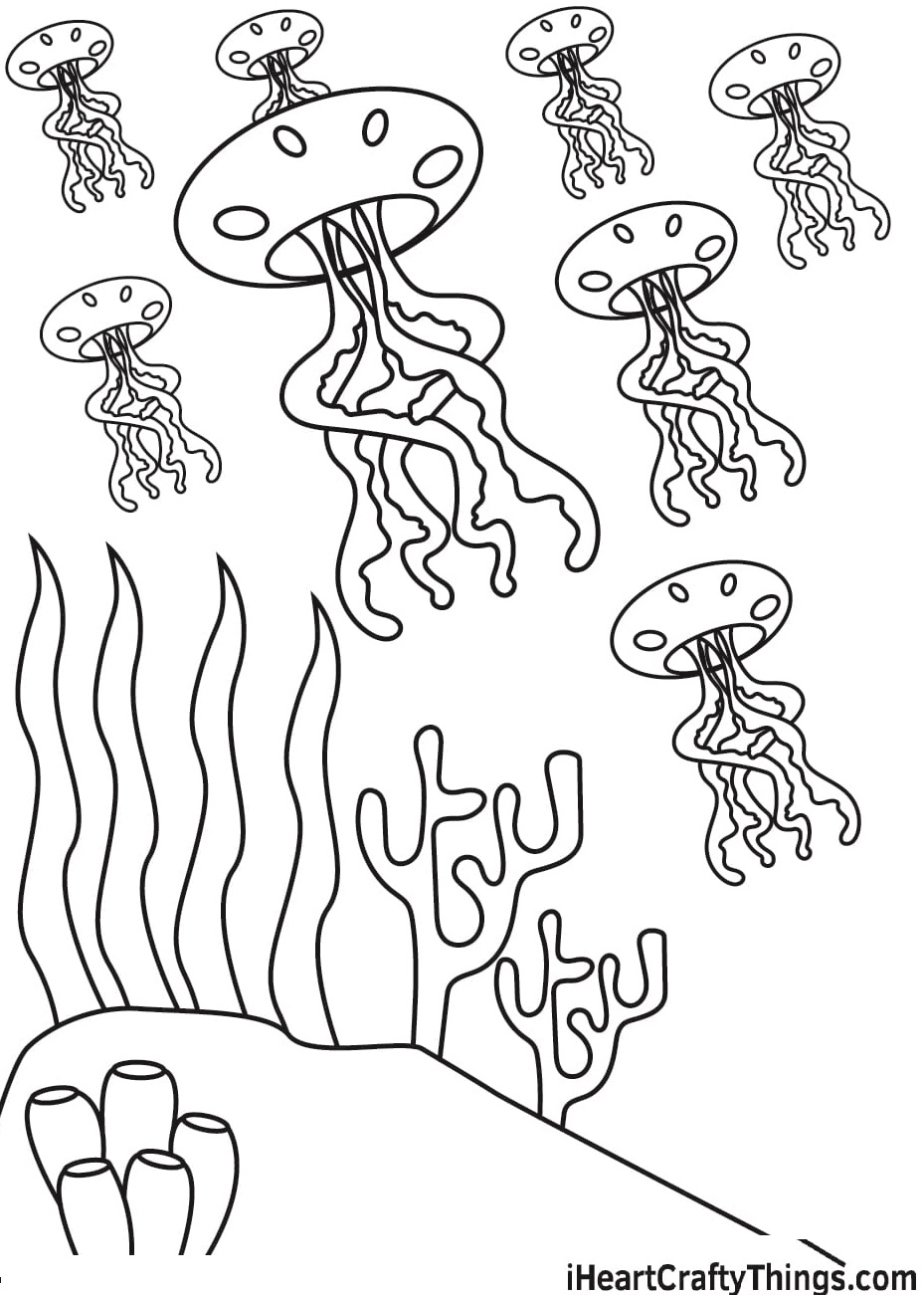 Box Jellyfish Image Coloring Page