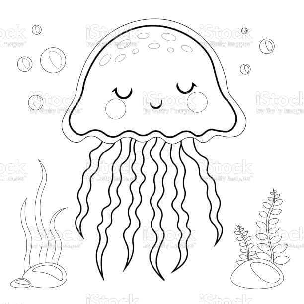 Box Jellyfish Lovely Coloring Page