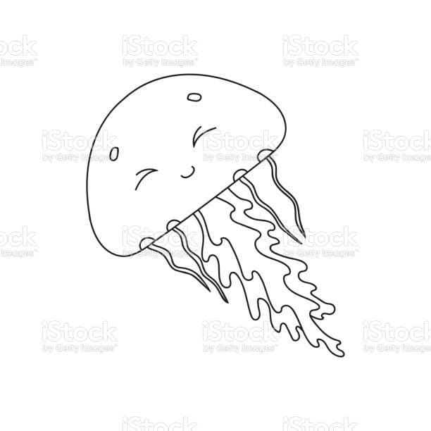 Box Jellyfish Picture For Kids Coloring Page