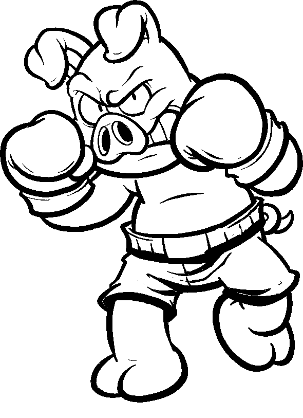 Boxer Pig